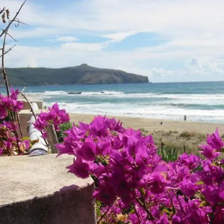 Casa Pallino Casa vacanze *